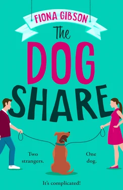 Fiona Gibson The Dog Share обложка книги