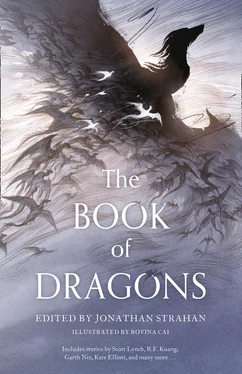 Неизвестный Автор The Book of Dragons обложка книги