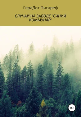 ГераДот Писареф Случай на заводе «Синий коммунар» обложка книги