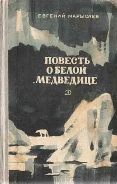 Евгений Марысаев Повесть о белой медведице обложка книги