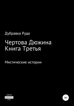 Дубравка Руда Чертова Дюжина. Книга Третья обложка книги