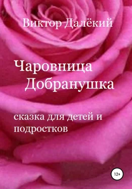 Виктор Далёкий Чаровница Добранушка. Сказка для детей и подростков обложка книги