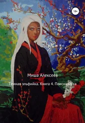 Миша Алексеев - Темная эльфийка. Книга 4. Поиски духа