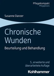 Susanne Danzer - Chronische Wunden