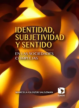 Marcela Gleizer Salzman Identidad, subjetividad y sentido en las sociedades complejas обложка книги