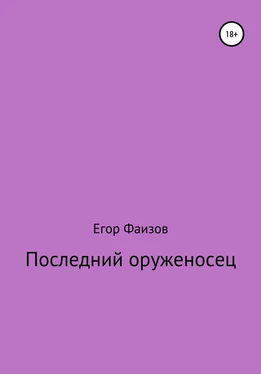 Егор Фаизов Последний оруженосец обложка книги