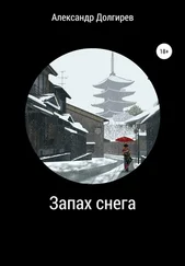 Александр Долгирев - Запах снега