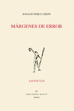 Ignacio Pérez Cerón Márgenes de error обложка книги