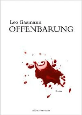 Leo Gasmann Offenbarung обложка книги