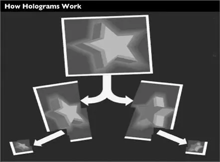 Abb 57 Jeder Abschnitt eines Hologramms ist eine verkleinerte Version des - фото 60