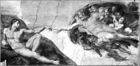 Abb 146 Stellt Michelangelos Fresko Die Erschaffung Adams die Geburt der - фото 151