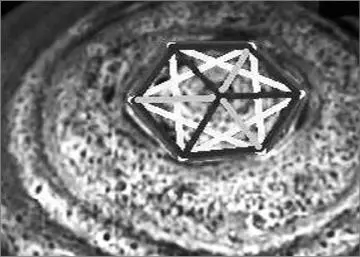 Abb 183 In energetischer Hinsicht kann man sagen Ein Hexagon ist ein - фото 189