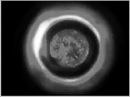 Abb 127 Der die Sonne umgebende Torus Donut in dem sich Elektrizität - фото 132