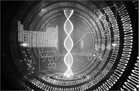 Abb 244 Die DNS stellt unsere Verbindung zur Simulation dar Wenn wir unser - фото 253