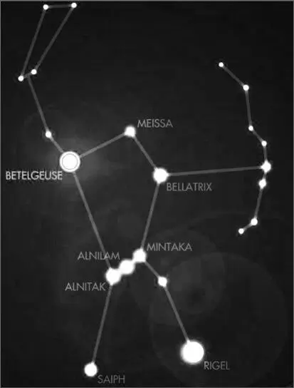 Abb 141 Unsere fernen Vorfahren waren vom Orion und dessen Göttern besessen - фото 146