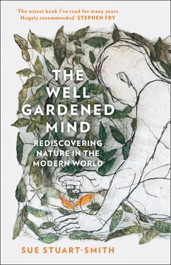 Sue Stuart-Smith The Well Gardened Mind обложка книги