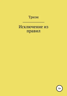 Триэн Исключение из правил обложка книги