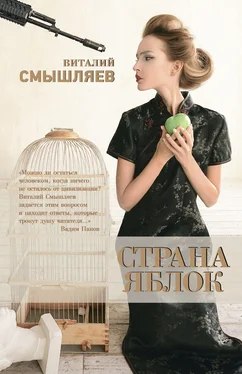 Виталий Смышляев Страна Яблок обложка книги