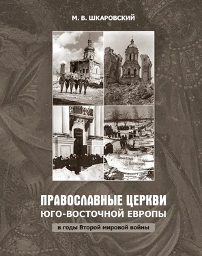 Михаил Шкаровский Православные церкви Юго-Восточной Европы в годы Второй мировой войны обложка книги