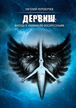 Евгений Переверзев ДЕРВИШ: иногда я умираю по воскресеньям обложка книги