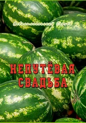 Сергей Севастопольский - Непутёвая свадьба