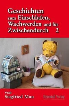 Siegfried Mau Geschichten zum Einschlafen, Wachwerden und für Zwischendurch обложка книги