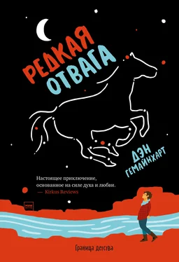 Дэн Гемайнхарт Редкая отвага обложка книги