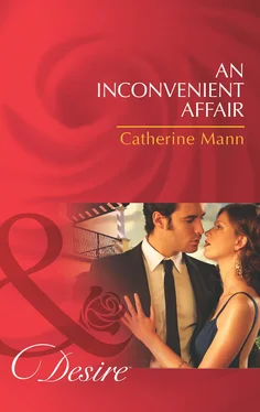 Catherine Mann An Inconvenient Affair обложка книги