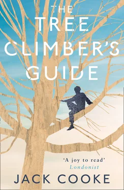 Jack Cooke The Tree Climber’s Guide обложка книги