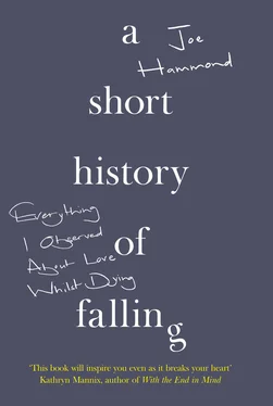 Joe Hammond A Short History of Falling обложка книги