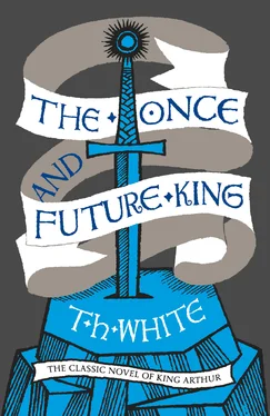 T. H. White The Once and Future King обложка книги