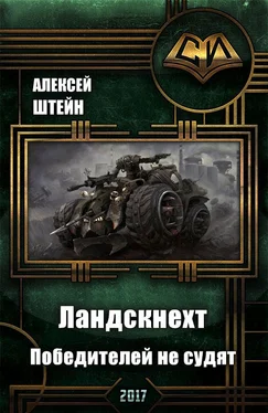 Алексей Штейн Ландскнехт. Победителей не судят обложка книги