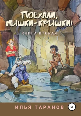 Илья Таранов Поехали, мышки-крышки! Книга вторая обложка книги