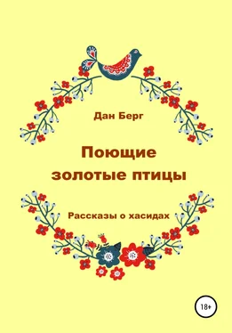 Дан Берг Поющие золотые птицы. Рассказы о хасидах обложка книги