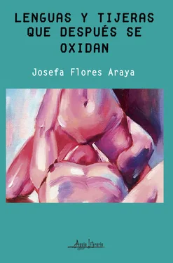 Josefa Flores Araya Lenguas y tijeras que después se oxidan обложка книги