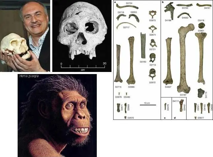Homo georgicus 2002 г 18 млн лет Грузия Так или иначе начиная с 175 млн - фото 18