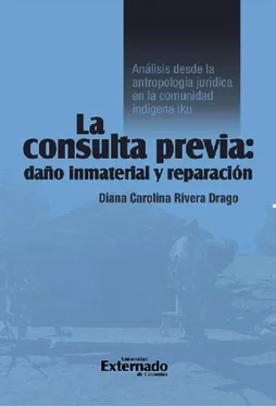 Diana Carolina Rivera Drago La consulta previa: daño inmaterial y reparación обложка книги