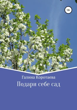 Галина Коротаева Подари себе сад обложка книги