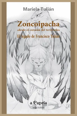 Mariela Tulián Zoncoipacha обложка книги