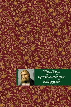 Елена Тростникова Притчи православных старцев обложка книги