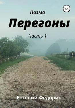 Евгений Федорин Перегоны. Часть 1 обложка книги