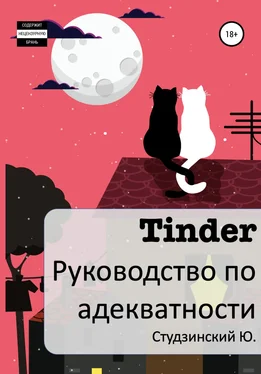 Юрий Студзинский Tinder. Руководство по адекватности обложка книги