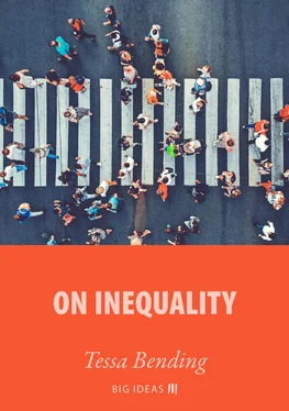 Tessa Bending On Inequality обложка книги