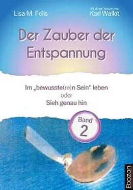 Lisa M. Felis Der Zauber der Entspannung / Der Zauber der Entspannung (Band 2) обложка книги