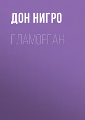 Дон Нигро - Гламорган