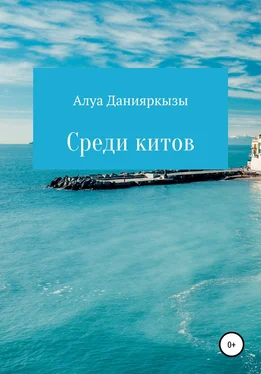 Алуа Данияркызы Среди китов обложка книги