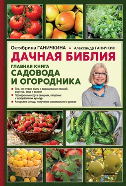 Александр Ганичкин Дачная библия. Главная книга садовода и огородника обложка книги