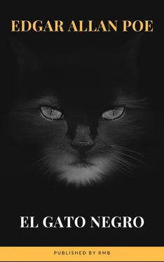 Edgar Allan Poe El gato negro обложка книги