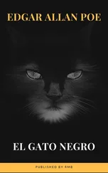 Edgar Allan Poe - El gato negro