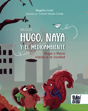 Begoña Lisón Hugo, Naya y el medioambiente обложка книги